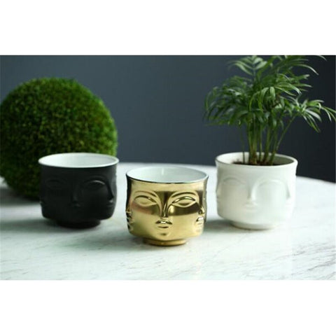 Image of Ceramic Plants Pot