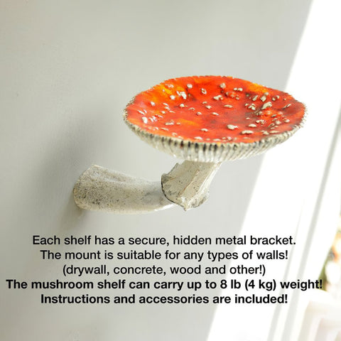 Image of Mushroom Hanging Shelf Wall Rack