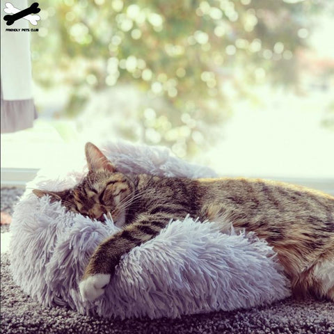 Image of Pet Dog Bed Comfortable Donut Cuddler.