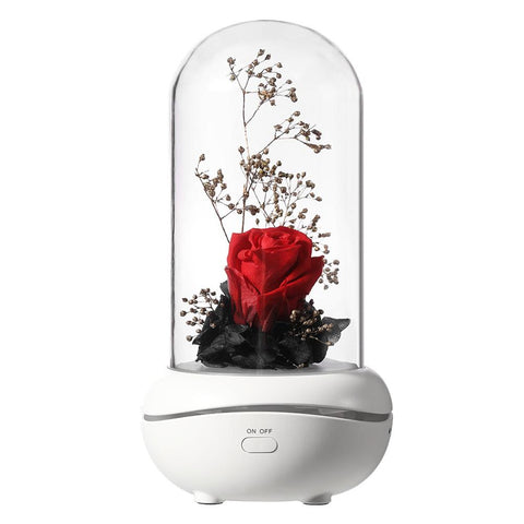 Image of Eternal Flower USB Essential Oil Aromatherapy lamp