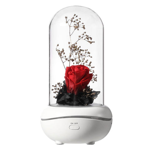 Image of Eternal Flower USB Essential Oil Aromatherapy Perfumed lamp.
