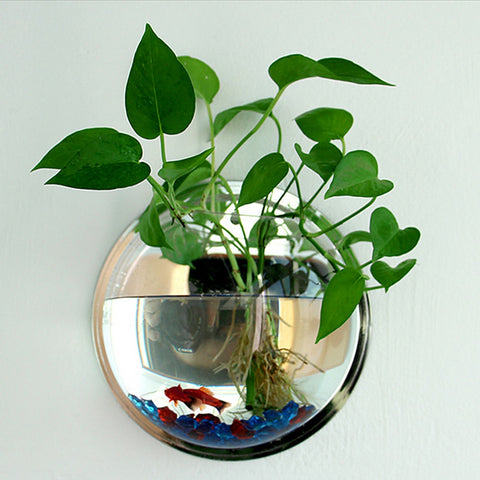 Image of Pot Plant Wall Mounted