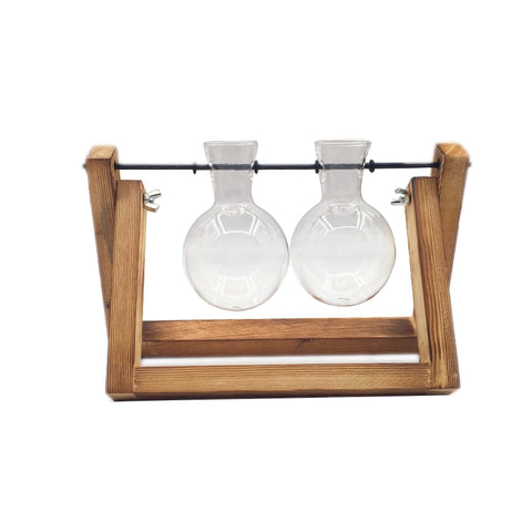 Image of Hydroponic Plant Transparent Vase Wooden Frame