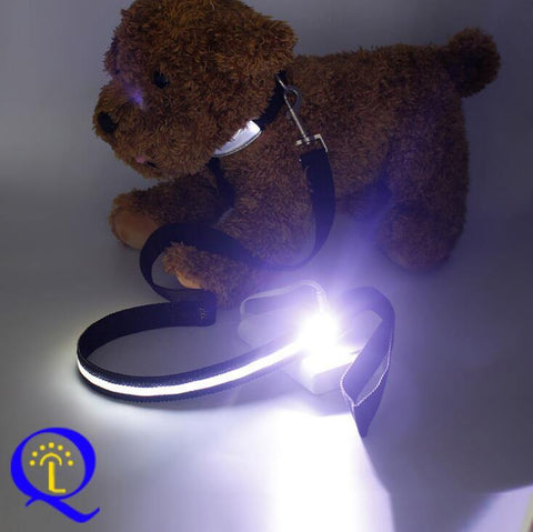 Image of Shining Hand Holding Rope LED  For Pet.
