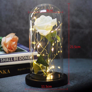 Beauty And Beast Rose In Flask Led Rose Flower Light.