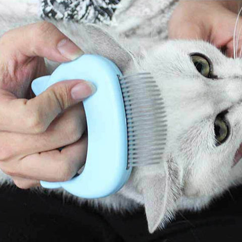 Image of Pet Massage Brush