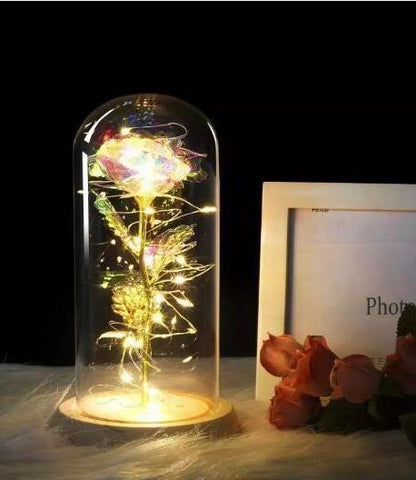 Image of Beauty And Beast Rose In Flask Led Rose Flower Light.