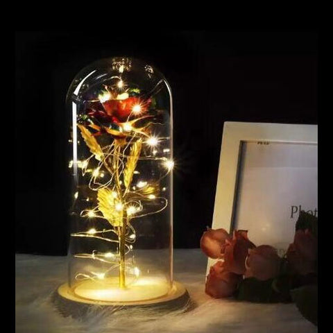 Image of Beauty And Beast Rose In Flask Led Rose Flower Light.