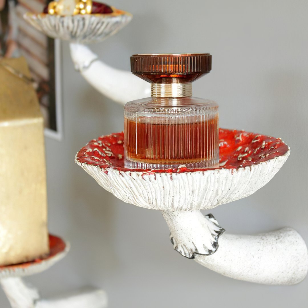 Mushroom Hanging Shelf Wall Rack