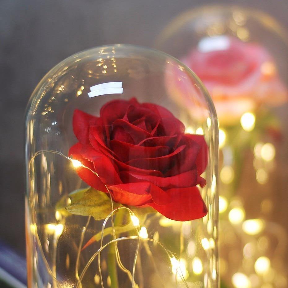 Beauty And Beast Rose In Flask Led Rose Flower Light.