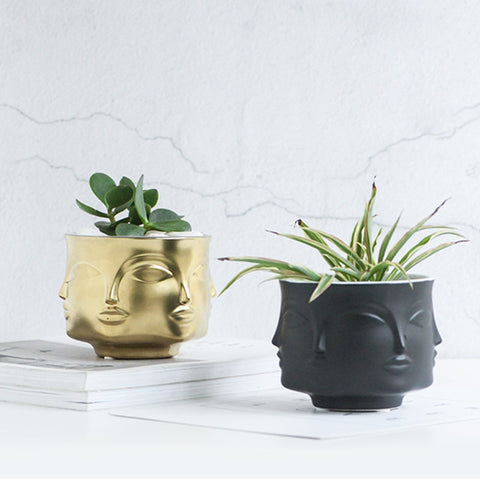 Image of Ceramic Plants Pot