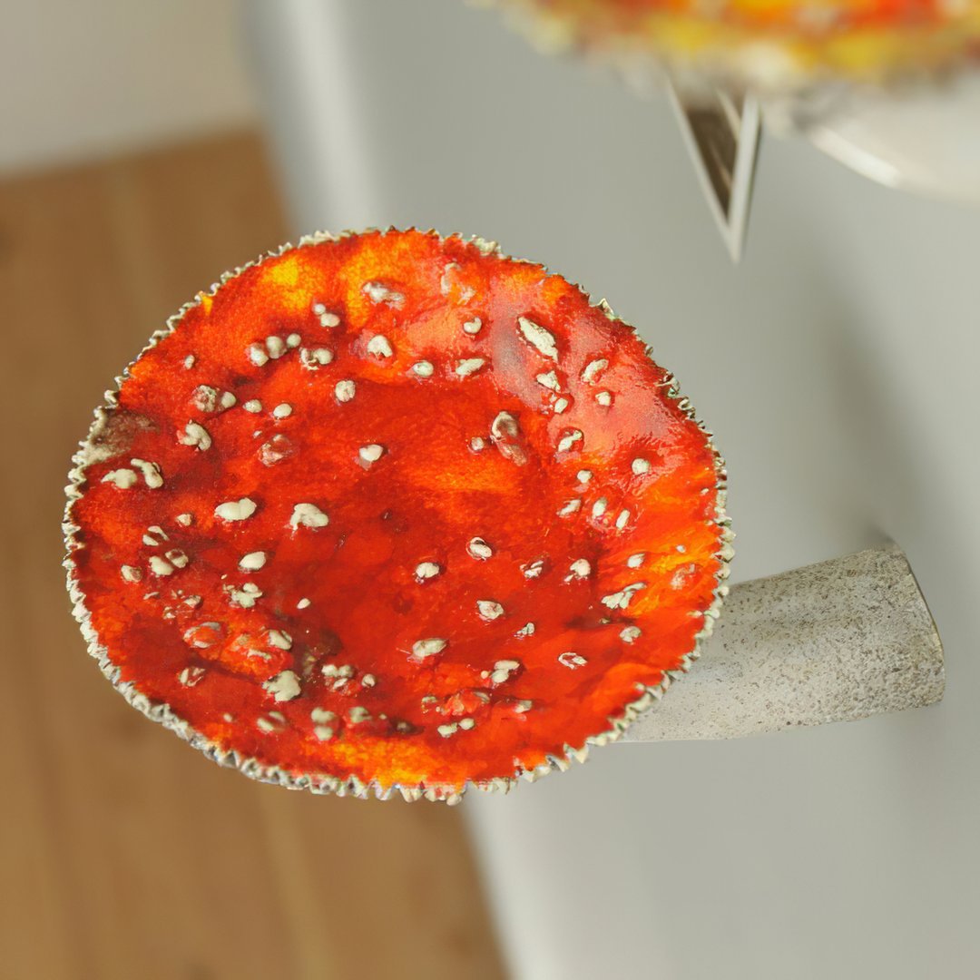 Mushroom Hanging Shelf Wall Rack