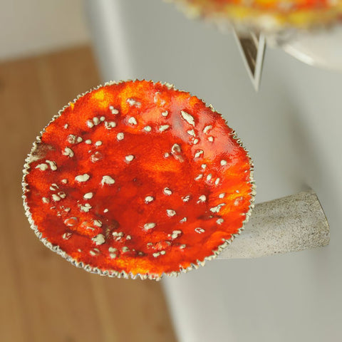 Image of Mushroom Hanging Shelf Wall Rack