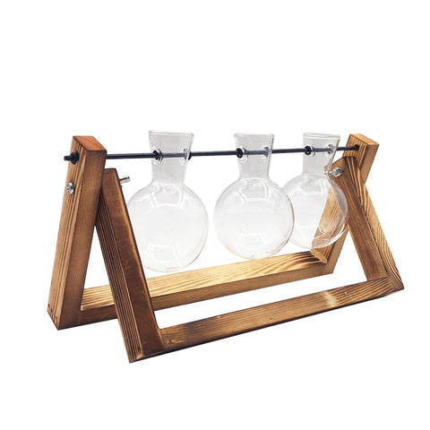 Image of Hydroponic Plant Transparent Vase Wooden Frame