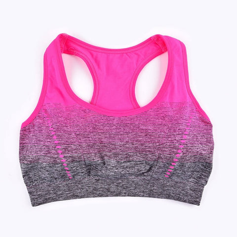 Image of Sports Bra High Stretch Breathable Top.