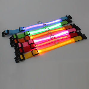 Nylon LED Pet Dog Collars