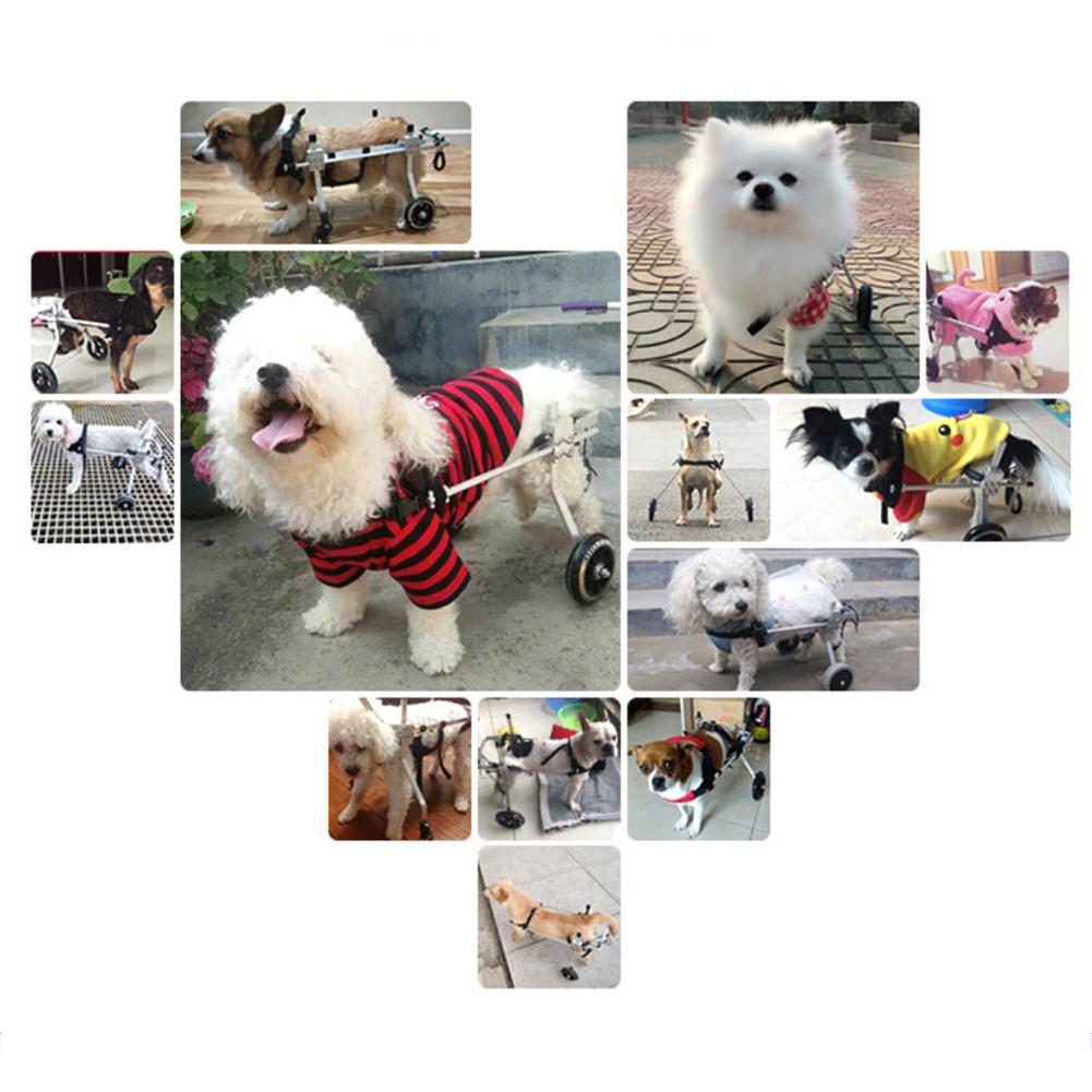 Pet Wheelchair Walk Cart Scooter