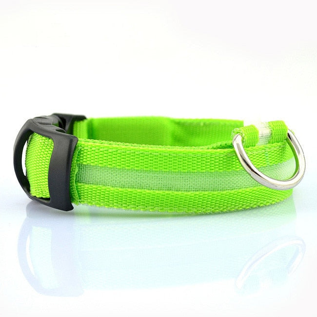 Nylon LED Pet Dog Collars