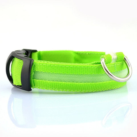 Image of Nylon LED Pet Dog Collars