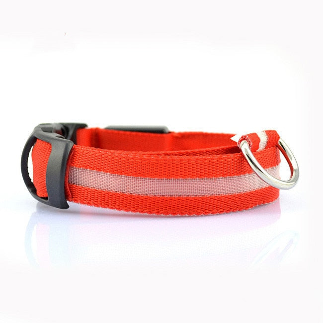 Nylon LED Pet Dog Collars