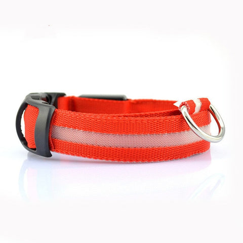 Image of Nylon LED Pet Dog Collars