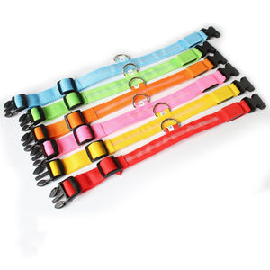 Nylon LED Pet Dog Collars