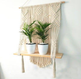 Macrame Plant Hanger
