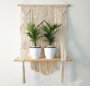 Macrame Plant Hanger