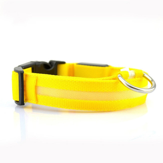 Nylon LED Pet Dog Collars