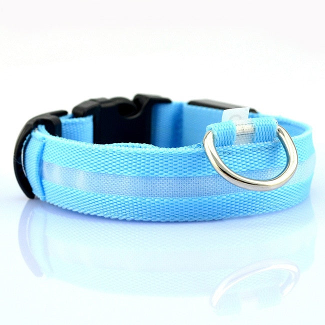 Nylon LED Pet Dog Collars
