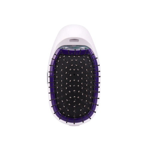 Image of Portable Electric Ionic Hairbrush.